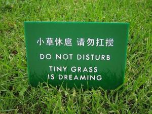 chinglish