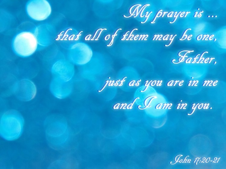 john 17 20-21