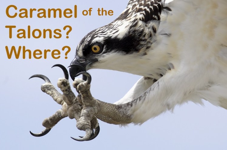 caramel of the talons