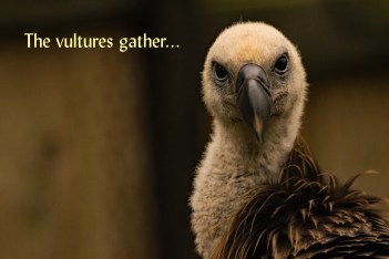 The vultures gather Lent 2018