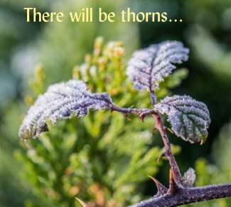 There will be thorns Lent 2018