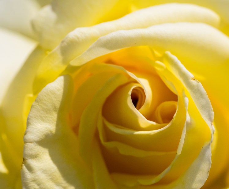 001Garden 190617crop