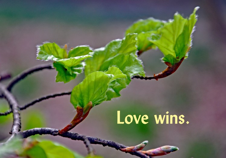 Love wins 0019Ashridge210411Z (editA)