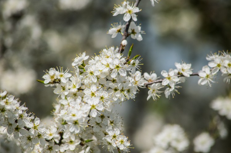 032Country190418 edited