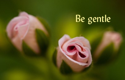 Be gentle 007Garden 100518