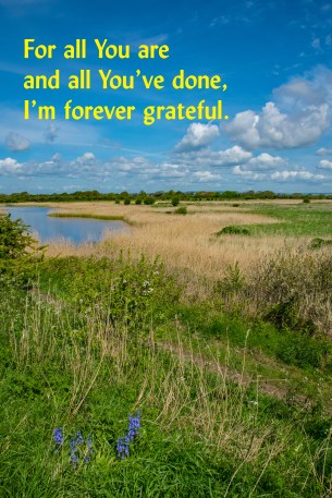 forever grateful 002Pagham 030518ed