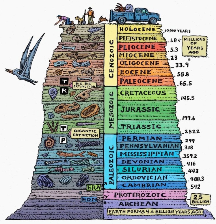geological timescale