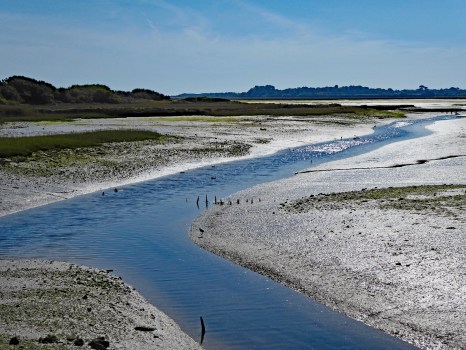 Pagham mud ed1 026bike ride