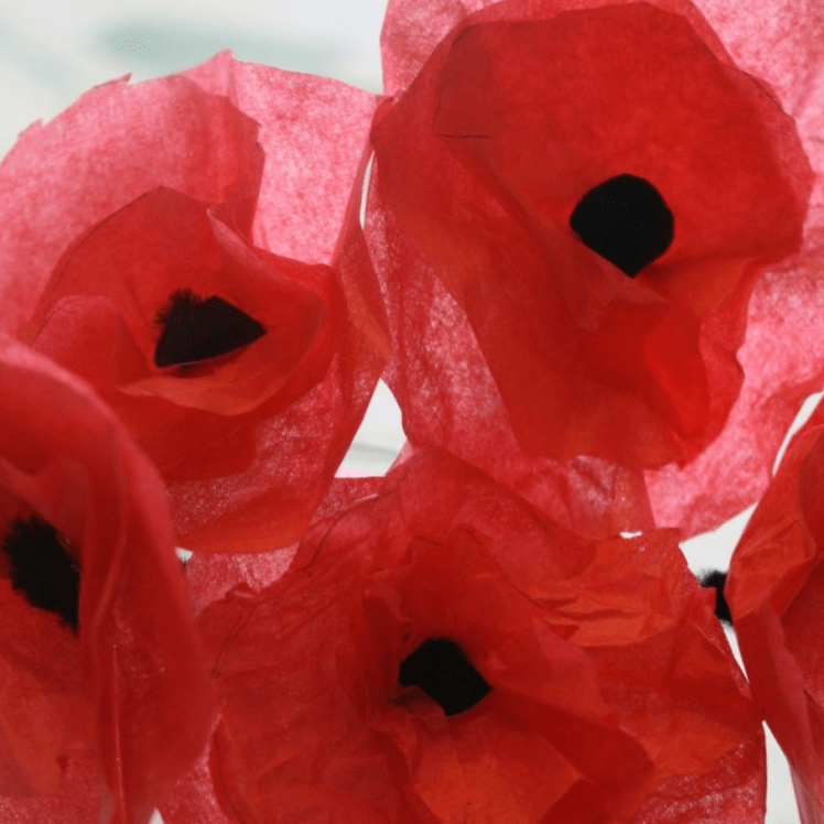 paper poppies