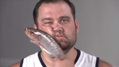 slap in face with wet fish