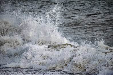 wave 026230219 Aldwick B ed