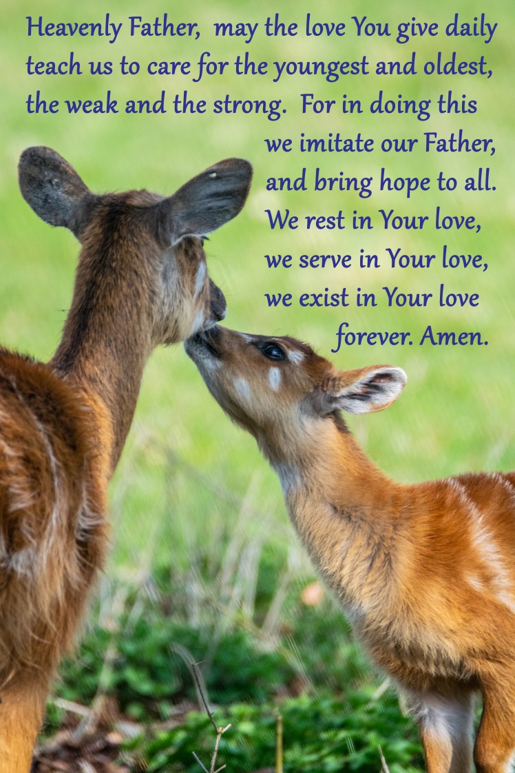 LSP in Your love 024Whip 280317edit