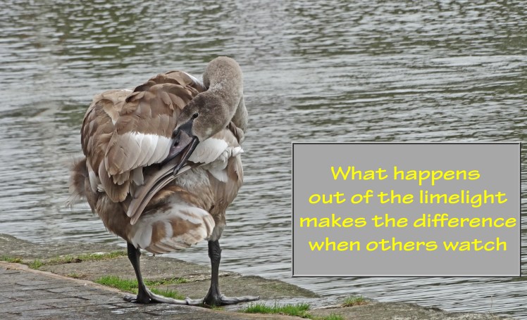 255stoke bru 10 19crop txt