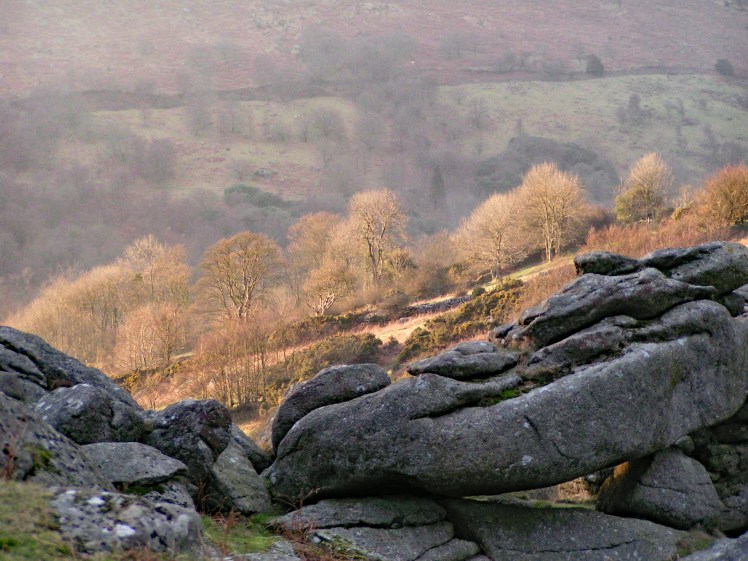 MINOLTA DIGITAL CAMERA