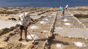 Salt Pans
