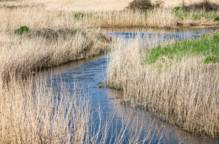 1963160320pagham adj